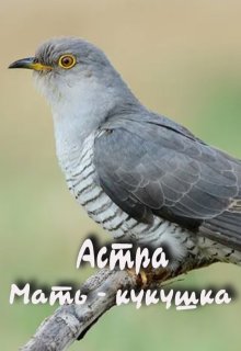 мать — кукушка (Астра)