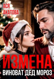 Измена. Виноват Дед Мороз (Ася Акатова)