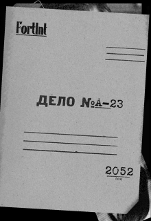 Дело № A-23 (Александр Борисов)