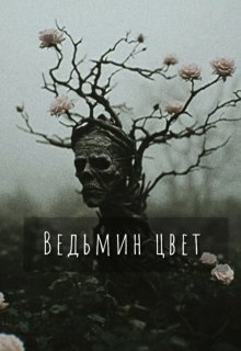 Ведьмин цвет (Екатерина Шитова)