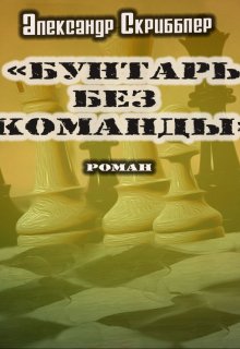 Бунтарь без команды. Версия-роман (Александр Скрибблер)