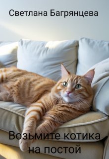 Возьмите котика на постой (Светлана Багрянцева)