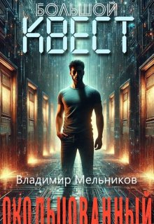 Большой квест. Окольцованный (Владимир Мельников)