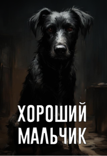 Хороший мальчик (Алёна Моденская)