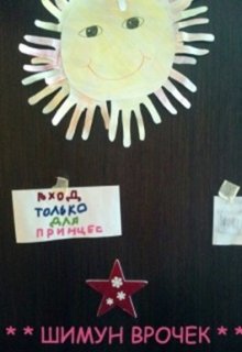 Практическое руководство по выживанию среди принцесс (Шимун Врочек)
