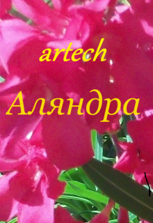 Аляндра (artech)