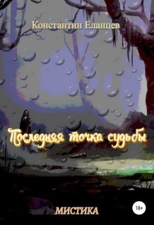 Последняя точка судьбы (Константин Еланцев)