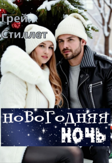 Новогодняя ночь (Грей Стиллет)